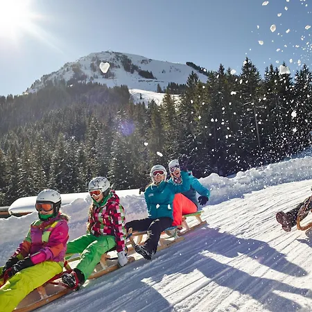 Hotel Alpengasthof Hochsöll