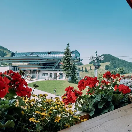 Szálloda Alpengasthof Hochsoell *