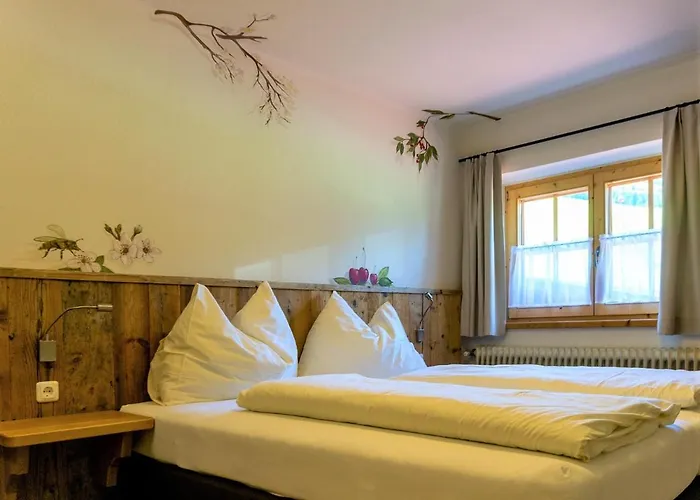 Hotel Alpengasthof Hochsoell