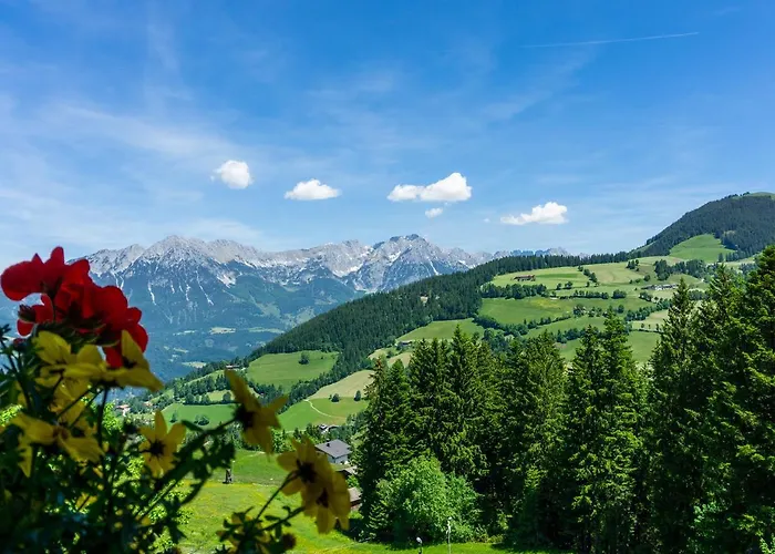 Hotel Alpengasthof Hochsoell