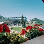 호텔 Alpengasthof Hochsoell *